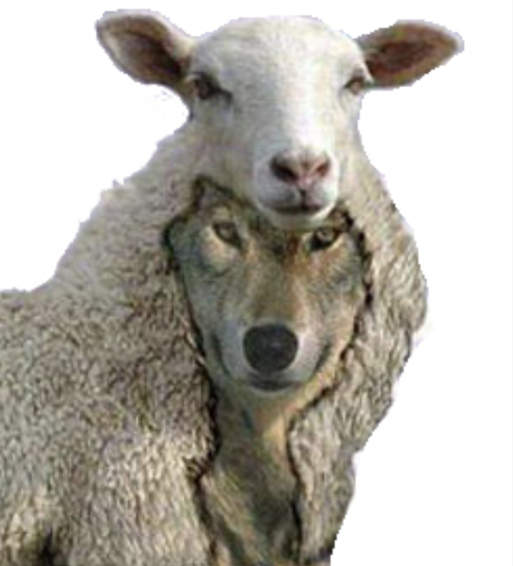 Samarbejde: En ulv i fåreklæder?